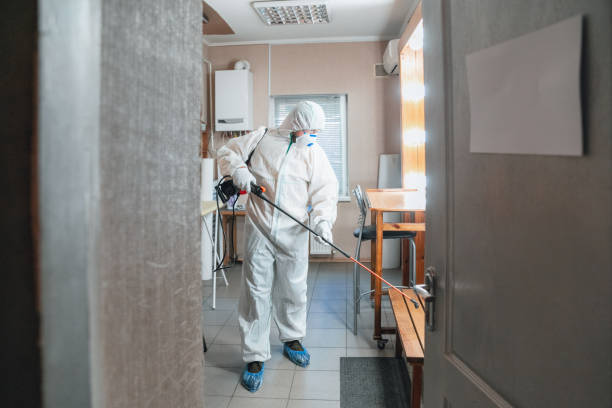 Best Basement Mold Removal  in Ben Avon, PA