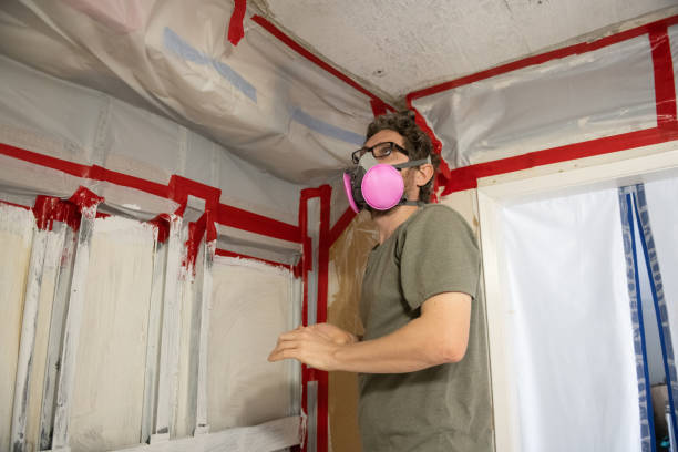 Best Attic Mold Removal  in Ben Avon, PA